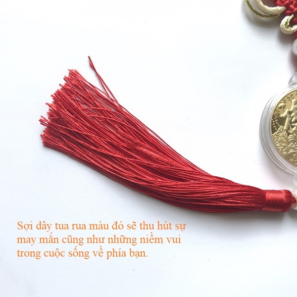 Dây treo may mắn xu hình Cá Chép - SP001139